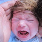 Frisur des Schreckens