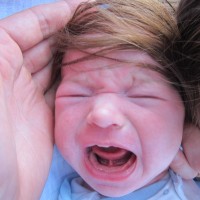 Frisur des Schreckens