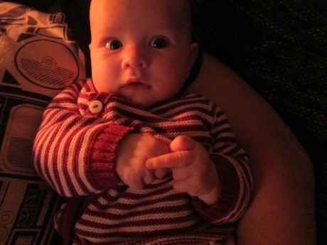 wie. was. wer zeigt hier was